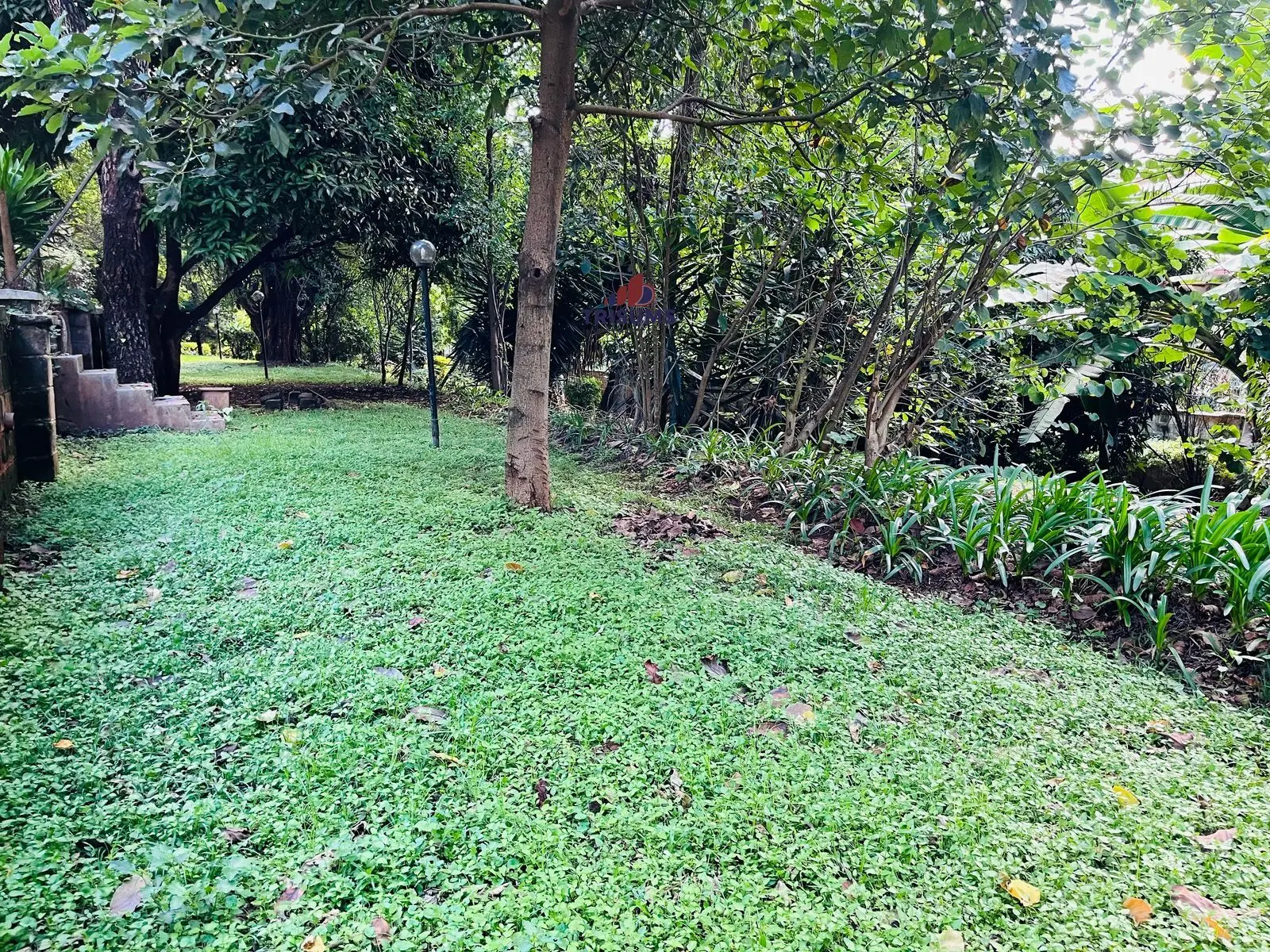 Prime 0.8-Acre Freehold Property in Lavington – Kshs 295M